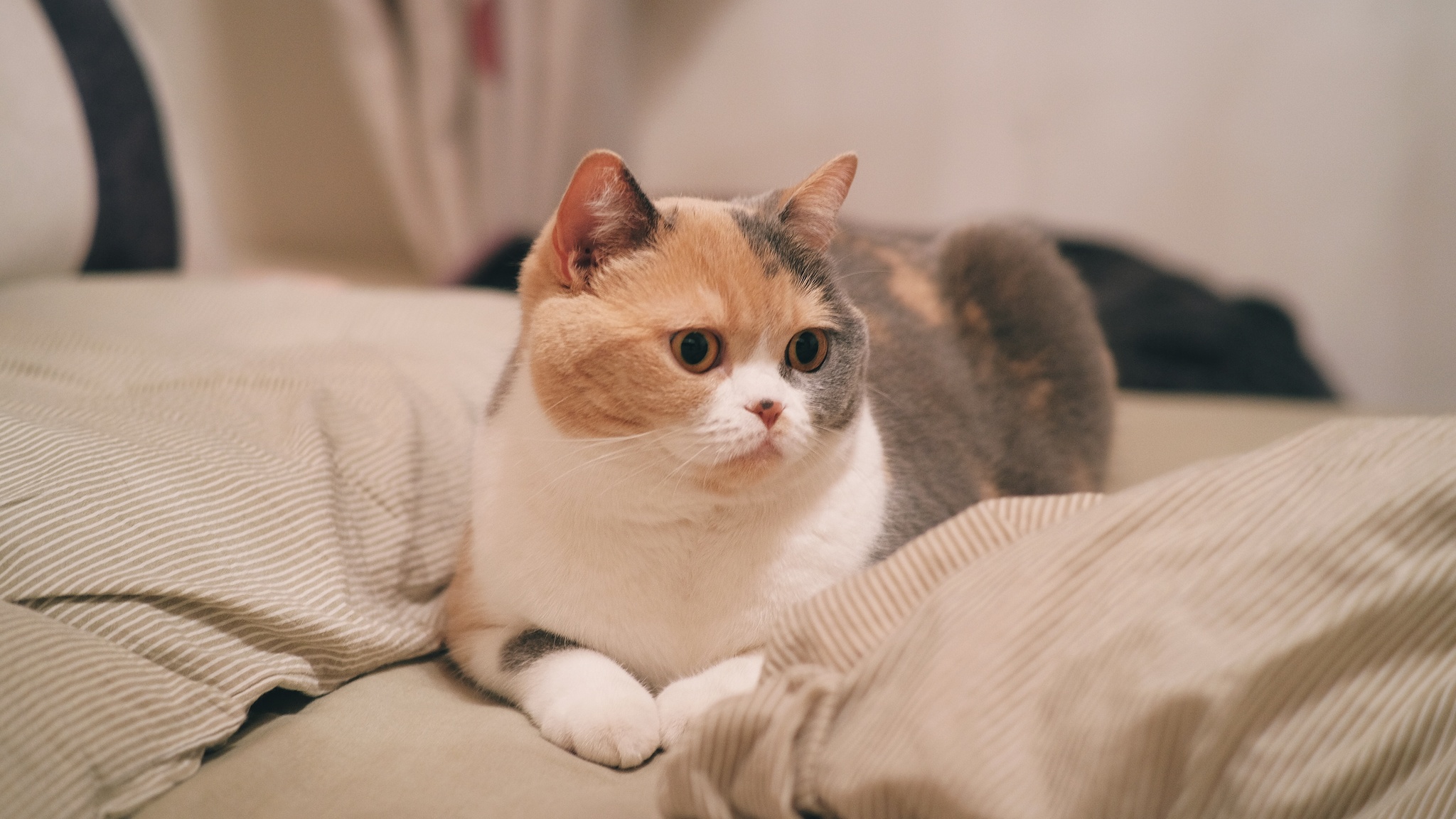 聪明一下
